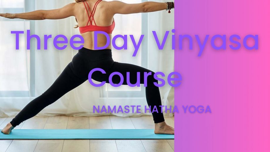 3 Day Vinyasa Yoga Course